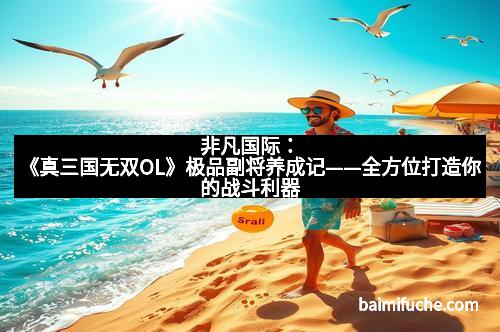 非凡国际:《真三国无双OL》极品副将养成记——全方位打造你的战斗利器